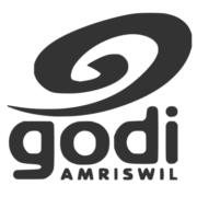 (c) Godi-conference.ch